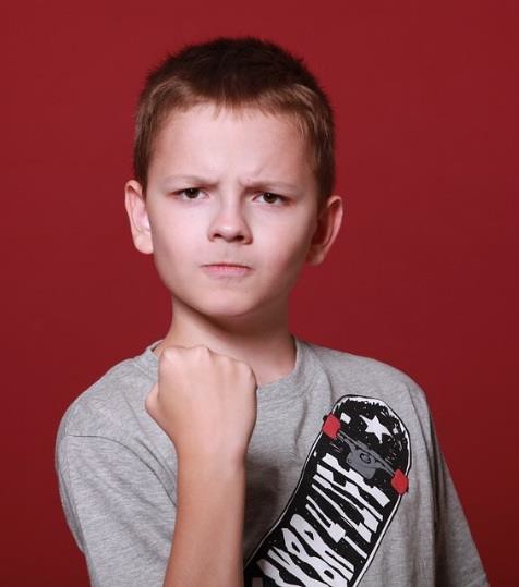 Children with conduct disorders show acts of aggression towards others and animals.