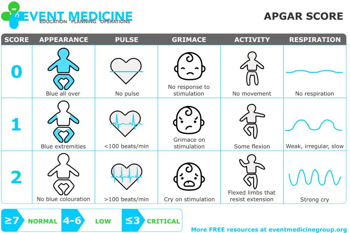 The Apgar assessment.